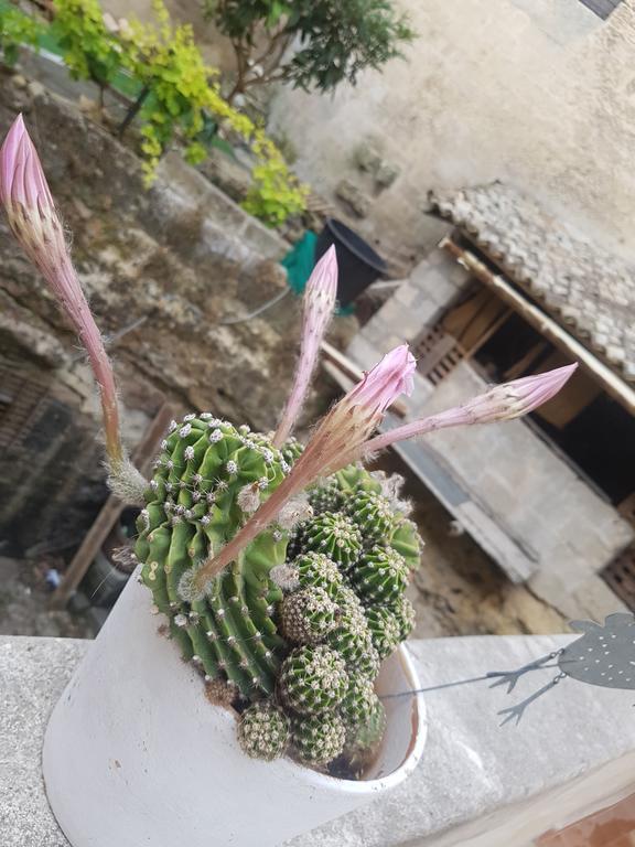 La Bomboniera Holiday Home Matera Luaran gambar